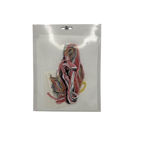 Counted Cross Stitch Kit Janlynn Sassy Stitcher Funny Lady Craft 11 X 14 Vtg - Picture 6 of 6